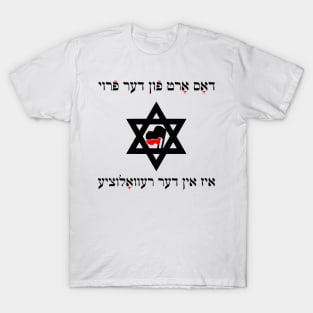 A Woman's Place Is In The Revolution (Yiddish) T-Shirt